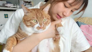 Cat: I don’t care about my面子at all!!!