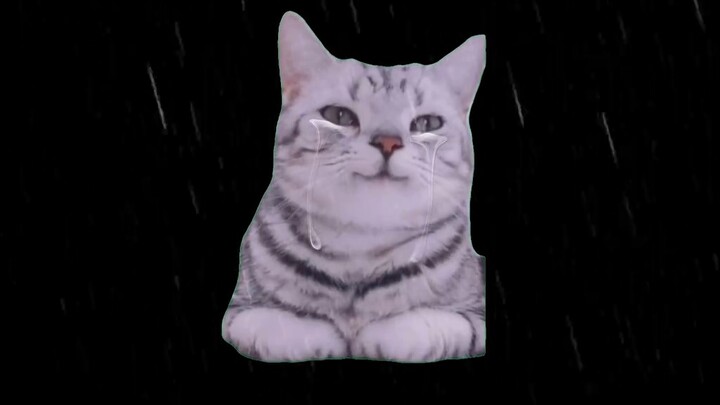 Câu chuyện về Người bất tử và Người du hành thời gian (Câu chuyện bổ sung)