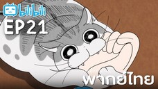 [พากย์ไทย] Ep21 | Nights with a Cat