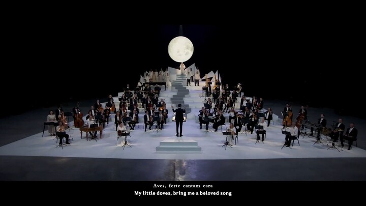 Nod-Krai Main Theme Live Performance _ Genshin Impact