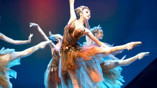 【Liaoning Ballet】Dance Drama "Mulan"