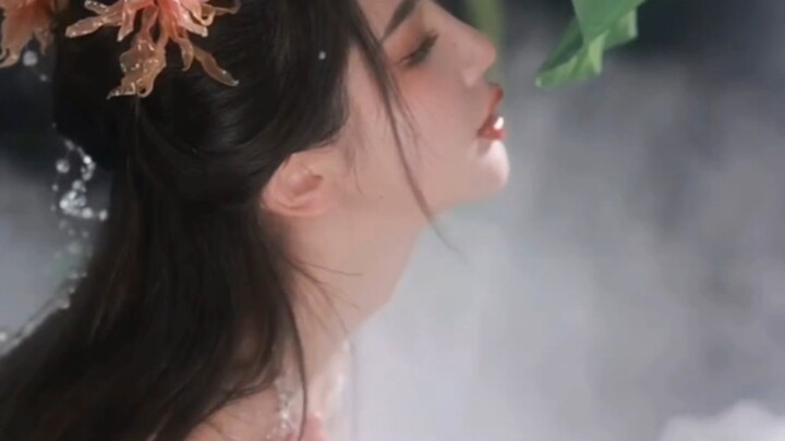 Spring nights are short; the sun rises high before one awakens. From then on, the emperor no longer 