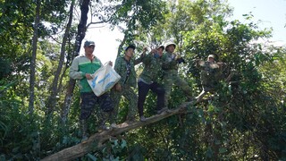 Kiếm Món Lạ trên ngọn cây | Nhịp Sống Tây Bắc