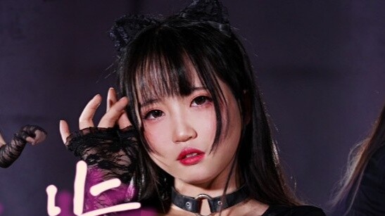 [Vertical Screen] ❤Catwalk Quiet❤ Is this the little orange cat in your heart? ~ [Xuanmi]