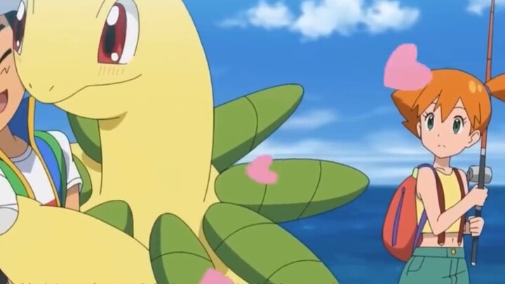 Flower Mole? Guardian Marten? Armored Giant Bird! Do you know these Pokémon? Digging up abandoned Po