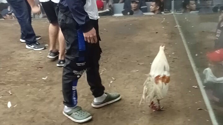 guys pasensya na kayo saingay ko lake Naman talaga ng kalaban