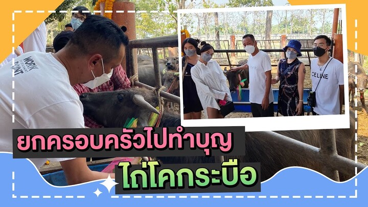 ยกครอบครัวทำบุญไถโคกระบือกันถึงที่ จ.ราชบุรี แวะกินหมูหันอันลือเรื่องที่ครัวลุงรงค์ l เท่ง เถิดเทิง