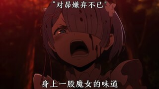 蕾姆：又干掉了一个魔女教徒！