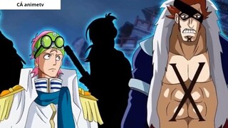 Kaido thật sự là thứ gì  Giải đáp những bí mật về Sinh vật mạnh nhất 5