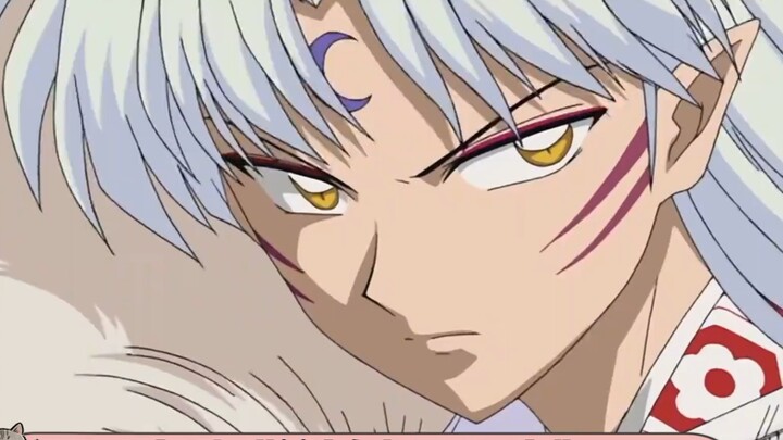 Ever since I found out that Sesshomaru’s原型 is a white Shiba Inu puppy, everything has changed.