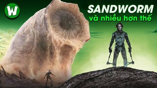 TẤT TẦN TẬT VỀ SÂU CÁT TRONG THẾ GIỚI DUNE