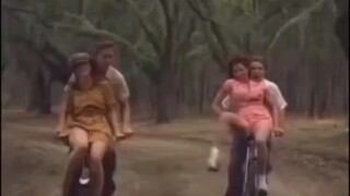 为什么这样伤害我