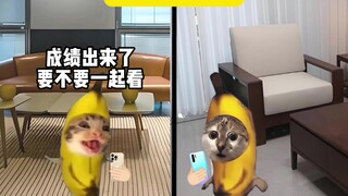 รหัสลับที่บอกไว้ ฉันไม่ได้คาดคิดจริงๆ