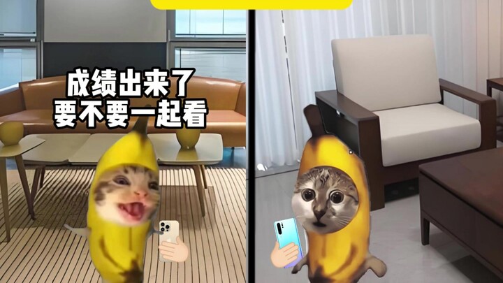 Kode rahasia yang sudah disepakati, aku sungguh tidak menyangkanya