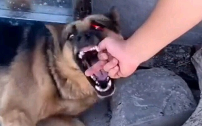 Hành vi khó hiểu của con người