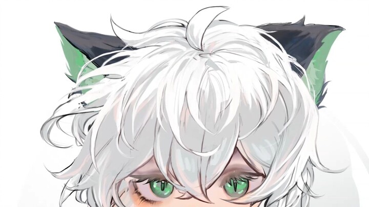 【live2d animation】(*>.<*)Luo Xiaohei(*>.<*)