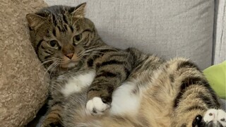 Ratu Juan hari ini ternyata tidak bisa menemani tidur karena kondisinya kurang baik???