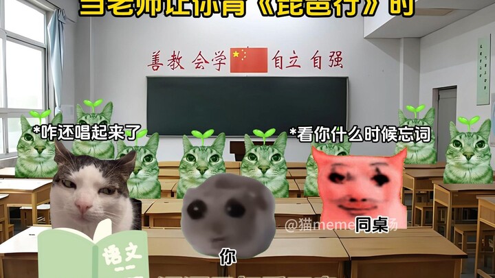 当语文老师让你背《琵琶行》时
