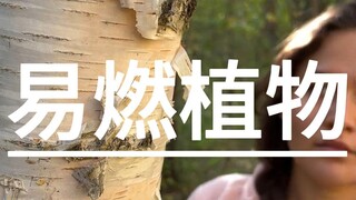 เทคนิคการตั้งแคมป์กลางแจ้ง (31) พืชติดไฟง่าย