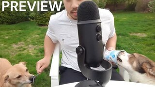 ASMR Eating Sounds - Arla Skyr Yoghurt 🍶 Collab With Doggo's 🐶 🐶