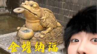 寻人启事！到底是谁把我变成了金蟾！