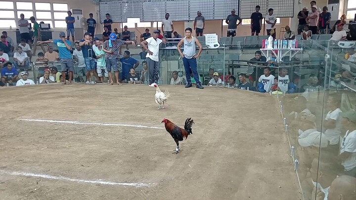 2 hits Ulutan - 1st Fight na OneHitDelete - 2nd fight 3x winner : 🏆🏆