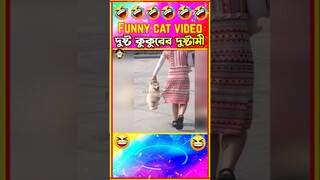 🤣হাস্যকর প্রাণী কুকুর😁 Funny animals Bangla #shorts #funny
