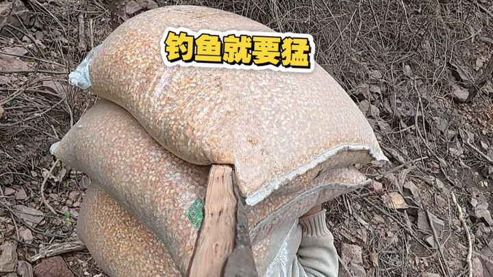 Ba túi ngô để đánh mồi các bạn thấy có mạnh không?