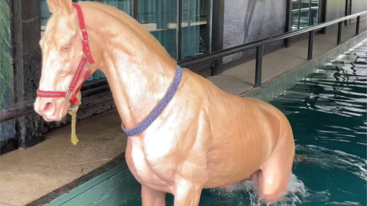 حصان خيال ملون يتغير لونه مع العرق الدموي