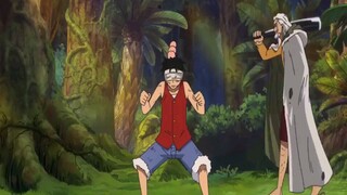 Luffy's respected teacher