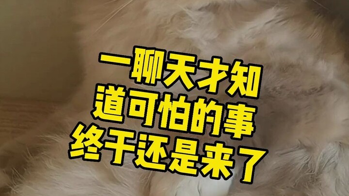 عندما بدأ زميلي البريطاني يتكلم القليل من الصينية، كان الأمر كله مجرد شيء مجنون، ههههههههه.