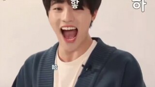 【seventeen】次人笑声图鉴 每天一遍 烦恼再见