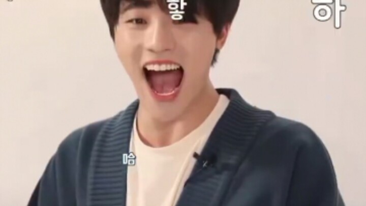 【seventeen】次人笑声图鉴 每天一遍 烦恼再见