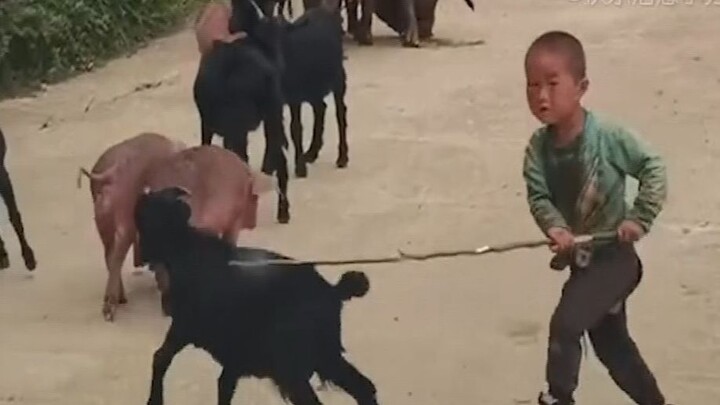 Hearing the words "young man," one should reject mediocrity.