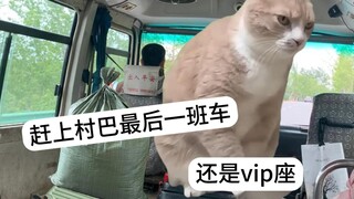 农村人不语 只是一味的共鸣