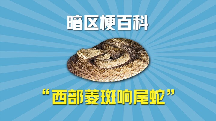 暗区梗百科之西部菱斑响尾蛇