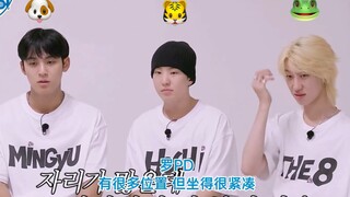 我的三个宝宝呀！可爱死了！