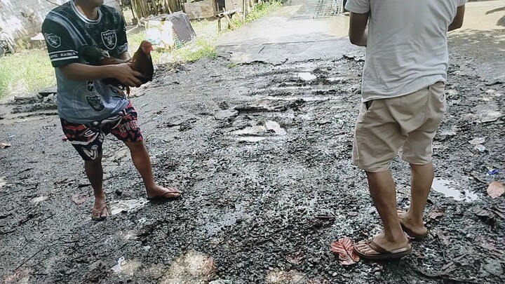 naka tsamba laki ng bulik,,