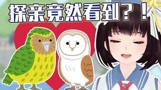 路过风月场并非我本意，只是鸟类探亲戚！【泠鸢直播精剪】2021年8月7日