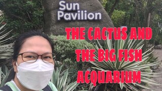 THE SUN PAVILION // THE CACTUS AND THE BIG FISH ACQUARIUM