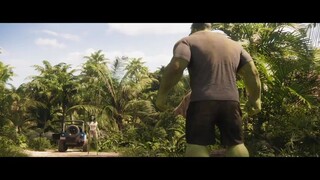 Hulk fight