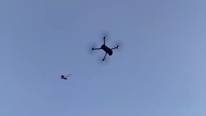 I don't need to buy a ticket when others do