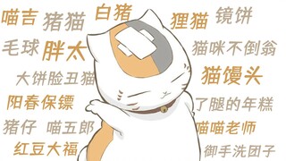 【夏目友人帐】猫咪老师到底有多少外号？