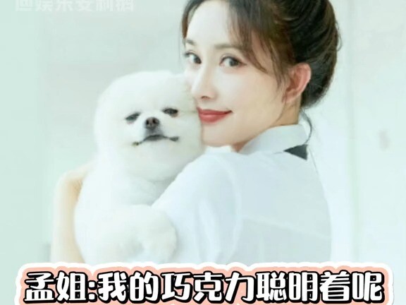 So in the future, you really shouldn’t say anything in front of the dog.