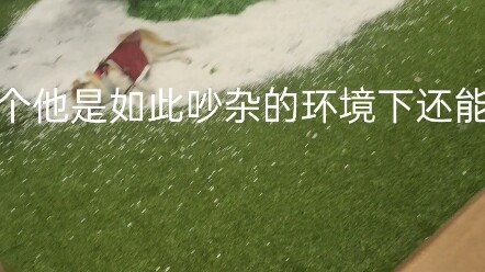 [Genshin Impact Fes] Taro Maru Slacking at Work