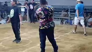 2 Cock 1st Entry Fight 2 06/06 Gentri