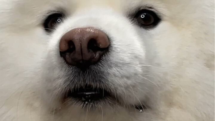 Chị có nhớ em không?