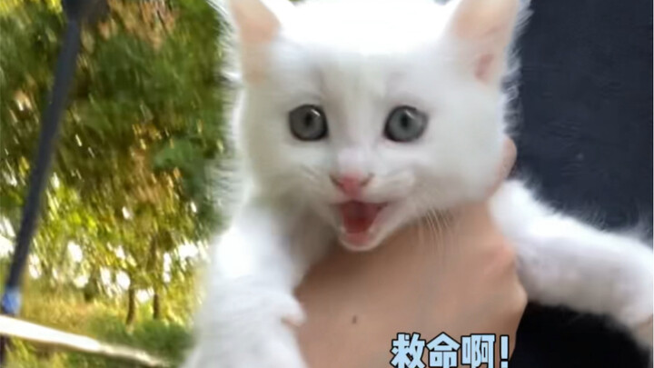 อาฮ่าฮ่าฮ่า ตั้งแต่นี้ไปฉันก็คือแม่ของเธอนะ!