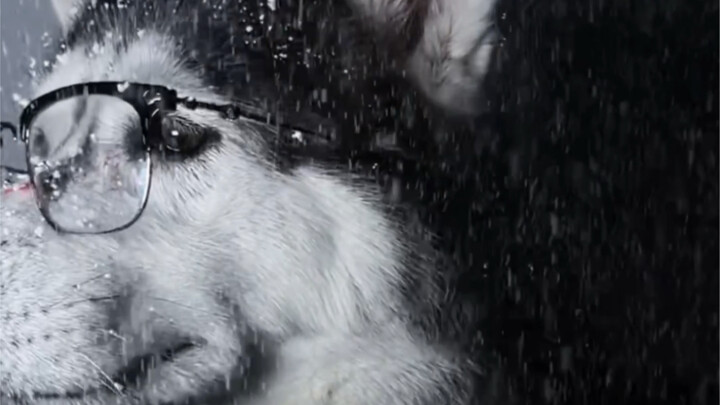 See it? The deep affection in my eyes.