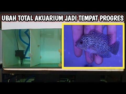 Rombak akuarium sekatan menjadi tempat progress yang istimewa